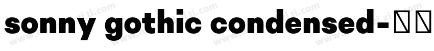 sonny gothic condensed字体转换